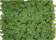 Vertical Garden Artificial Green Panels Faux Plant Wall Panels Four Leaf Clover Hedge Board